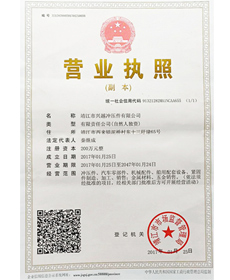 榮譽資質(zhì)